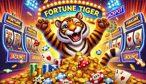 MD66 live betting và đặt cược trực tiếp